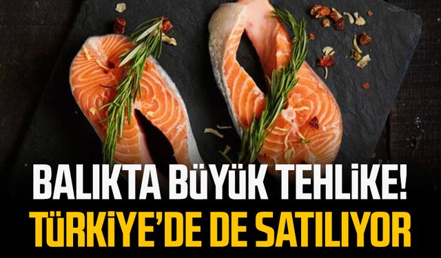 Balıkta büyük tehlike! Türkiye’de de satılıyor