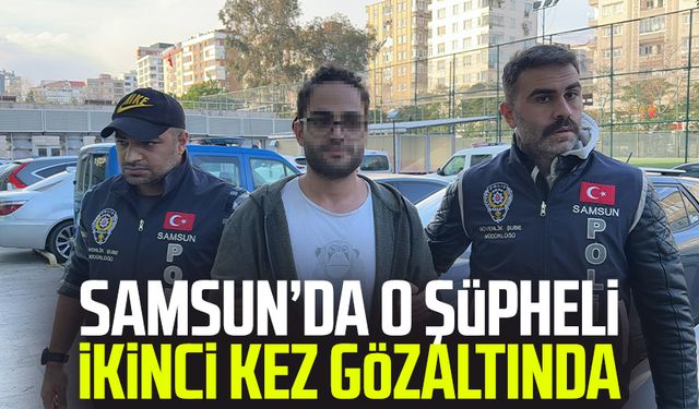 Cumhurbaşkanı'na hakaret şoku: Şüpheli ikinci kez gözaltında!