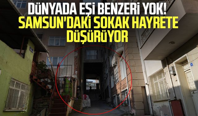 Dünyada eşi benzeri yok! Samsun'daki sokak hayrete düşürüyor