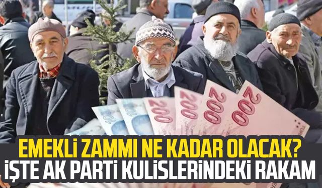 Emekli zammı ne kadar olacak? İşte AK Parti kulislerindeki rakam