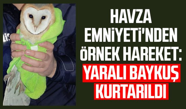 Havza Emniyeti'nden örnek hareket: Yaralı baykuş kurtarıldı