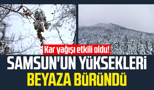 Kar yağışı etkili oldu! Samsun'un yüksekleri beyaza büründü