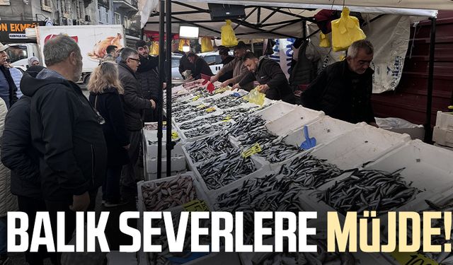 Karadeniz'de balık severlere müjde!