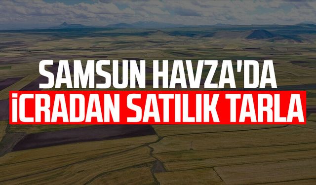 Samsun Havza'da icradan satılık tarla