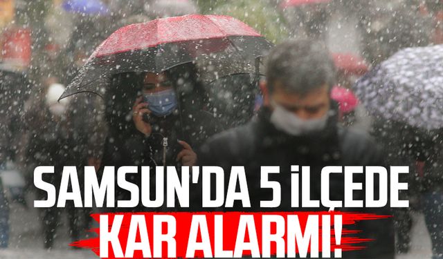 Samsun'da 5 ilçede kar alarmı! Meteoroloji açıkladı