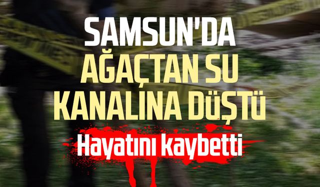 Samsun'da ağaçtan su kanalına düştü: Musa Duvan hayatını kaybetti