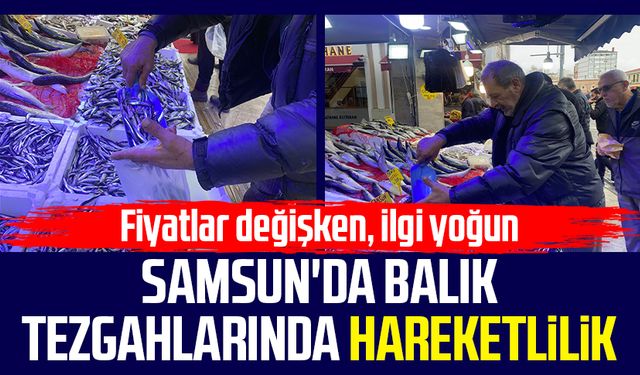 Samsun'da balık tezgahlarında hareketlilik: Fiyatlar değişken, ilgi yoğun