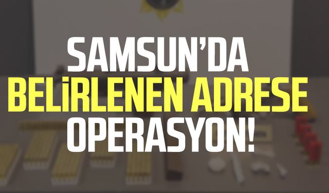 Samsun Tekkeköy'de belirlenen adrese operasyon