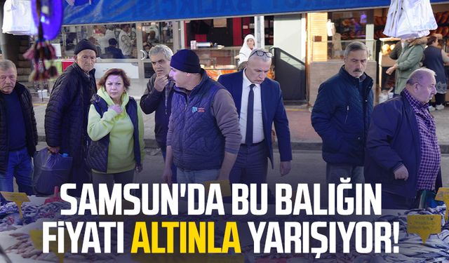 Samsun'da bu balığın fiyatı altınla yarışıyor!