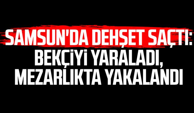 Samsun'da dehşet saçtı: Bekçiyi yaraladı, mezarlıkta yakalandı