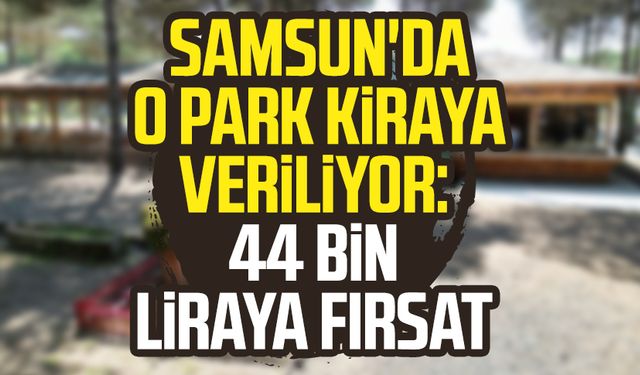 Samsun'da o park kiraya veriliyor: 44 bin liraya fırsat