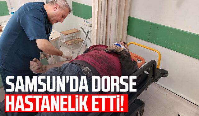 Samsun'da dorse hastanelik etti!