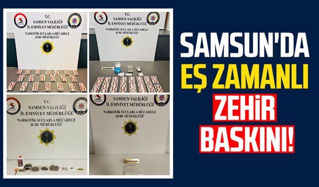 Samsun'da eş zamanlı zehir baskını!