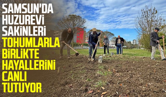 Samsun'da huzurevi sakinleri tohumlarla birlikte hayallerini canlı tutuyor