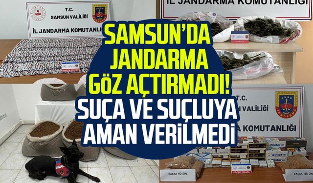 Samsun’da jandarma göz açtırmadı! suça ve suçluya aman verilmedi