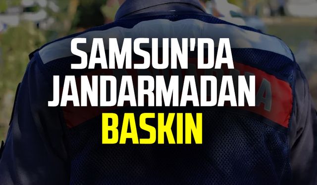 Samsun'da jandarmadan baskın