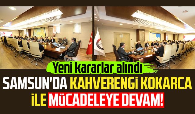 Samsun'da kahverengi kokarca ile mücadeleye devam! Yeni kararlar alındı