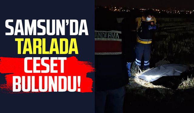 Samsun'da Mehmet Esen'in tarlada cesedi bulundu