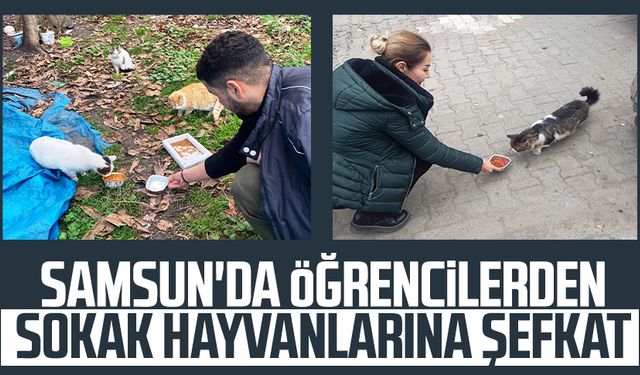 Samsun'da öğrencilerden sokak hayvanlarına şefkat