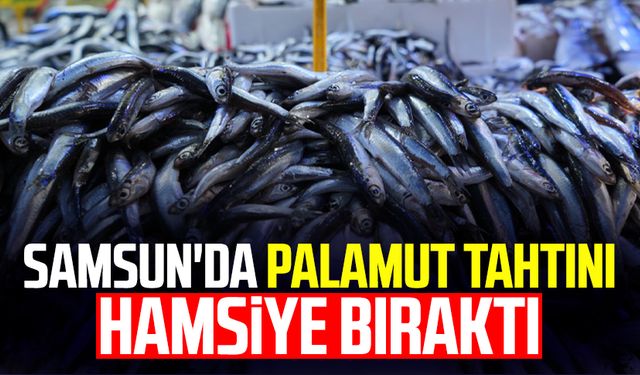 Samsun'da palamut tahtını hamsiye bıraktı