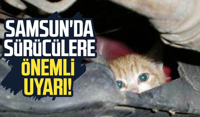 Samsun'da sürücülere önemli uyarı!