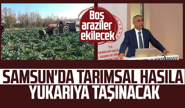 Samsun'da tarımsal hasıla yukarıya taşınacak