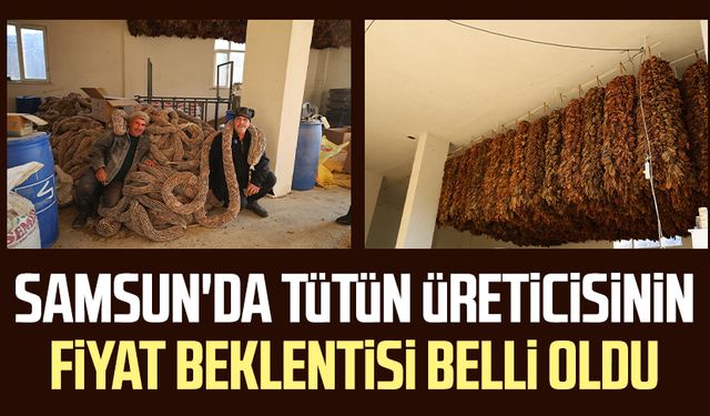 Samsun'da tütün üreticisinin fiyat beklentisi belli oldu