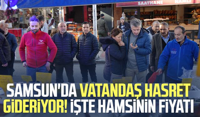 Samsun'da vatandaş hasret gideriyor! İşte hamsinin fiyatı