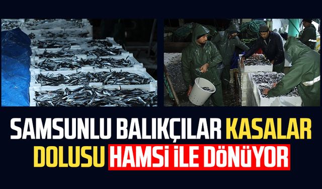 Samsunlu balıkçılar kasalar dolusu hamsi ile dönüyor