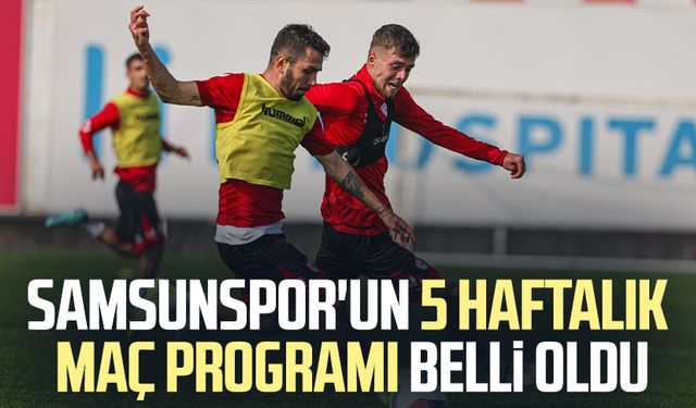 Samsunspor'un 5 haftalık maç programı belli oldu