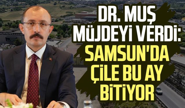 Dr. Mehmet Muş müjdeyi verdi: Samsun'da çile bu ay bitiyor