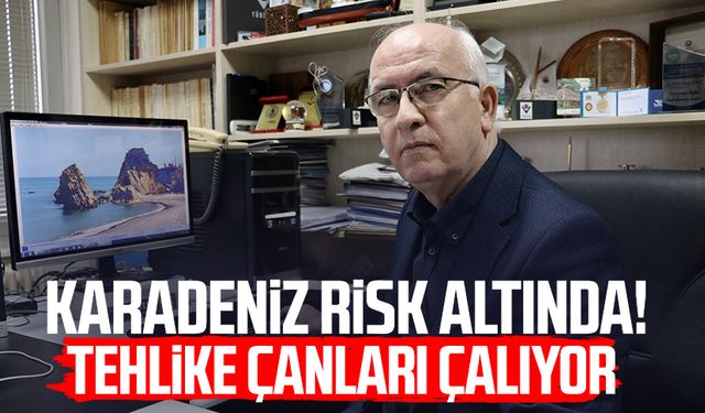 Karadeniz'de risk altında! Tehlike çanları çalıyor