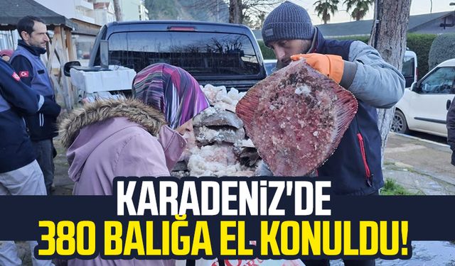 Karadeniz'de 380 balığa el konuldu!