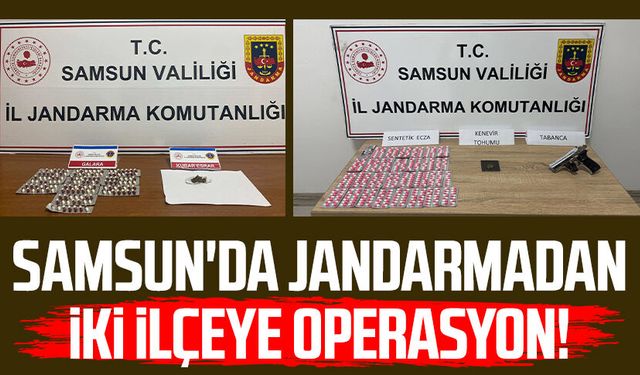 Samsun'da jandarmadan iki ilçeye operasyon!