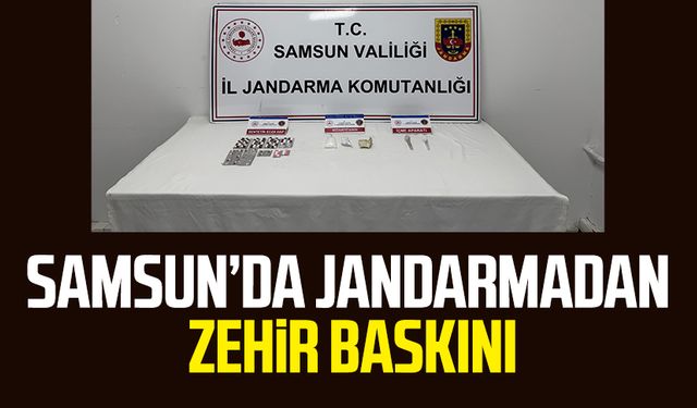 Samsun Canik'te jandarmadan zehir baskını