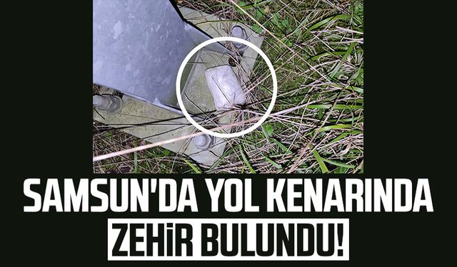 Samsun'da yol kenarında zehir bulundu!