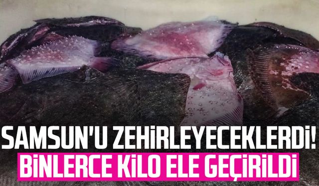 Samsun'u zehirleyeceklerdi! Binlerce kilo ele geçirildi