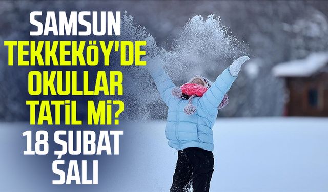 Samsun Tekkeköy'de okullar tatil mi? 18 Şubat Salı
