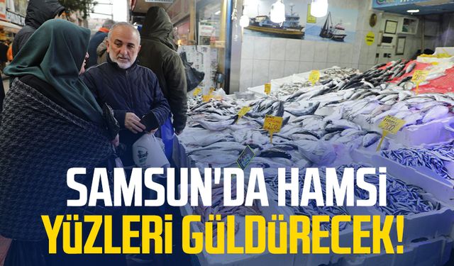 Samsun'da hamsi yüzleri güldürecek!