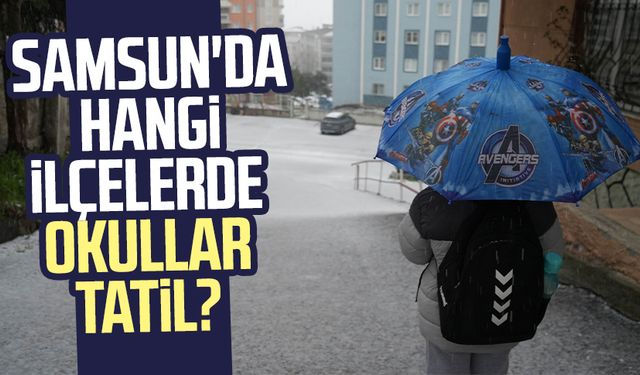 Samsun'da hangi ilçelerde okullar tatil? 18 Şubat Salı