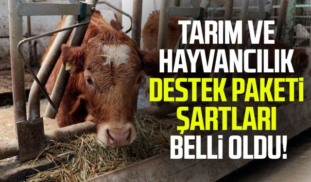 Tarım ve hayvancılık destek paketi şartları belli oldu!