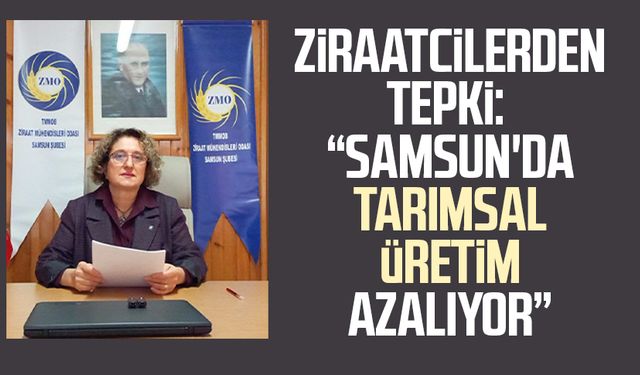 Ziraatçilerden tepki: "Samsun'da tarımsal üretim azalıyor"