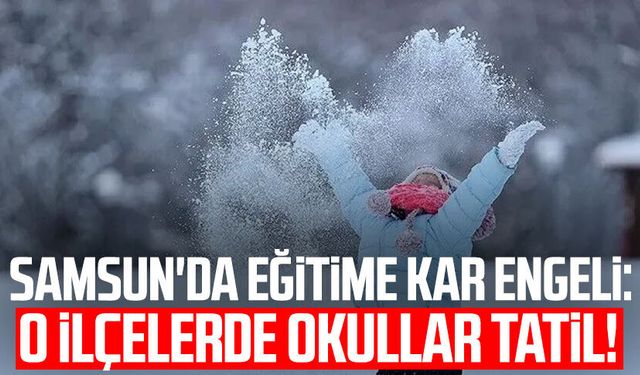 Samsun'da o ilçelerde eğitime kar engeli!