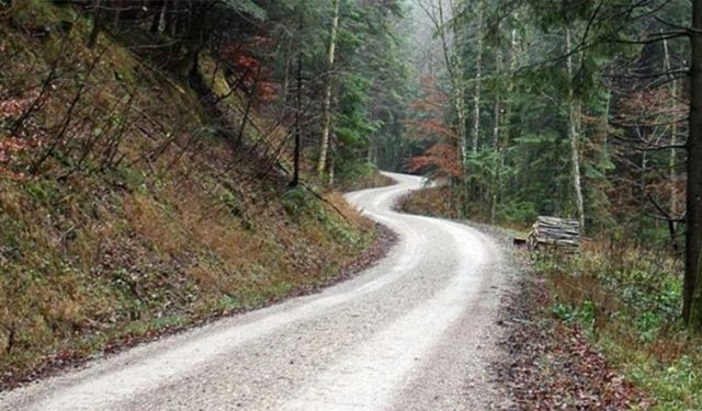 YENİ ORMAN YOLU YAPIMI İŞİ