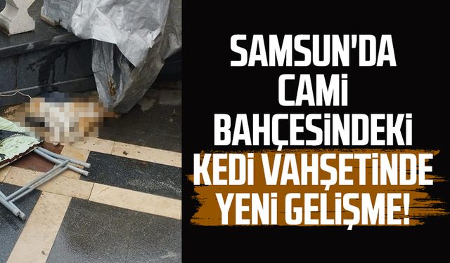 Samsun'da cami bahçesindeki kedi vahşetinde yeni gelişme!