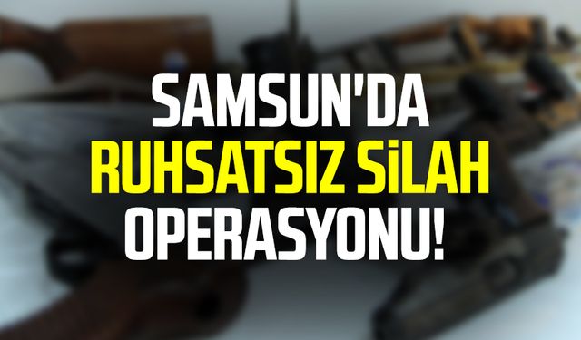 Samsun Terme'de ruhsatsız silah operasyonu!