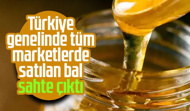Türkiye genelinde tüm marketlerde satılan bal sahte çıktı