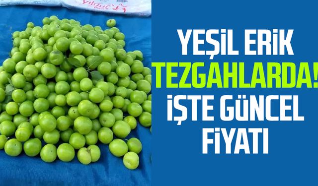 Yeşil erik tezgahlarda! İşte güncel fiyatı