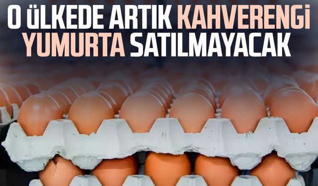 O ülkede artık kahverengi yumurta satılmayacak