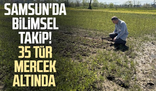 Samsun'da bilimsel takip! 35 tür mercek altında